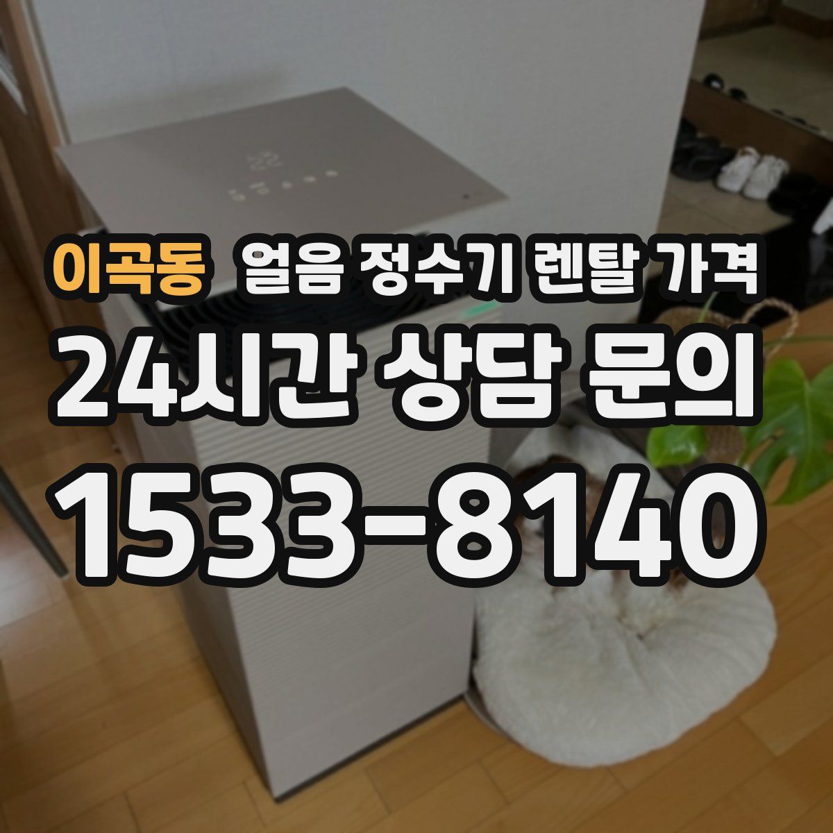 이곡동 얼음 정수기 렌탈 가격