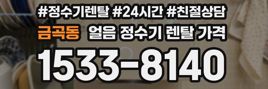 금곡동 얼음 정수기 렌탈 가격