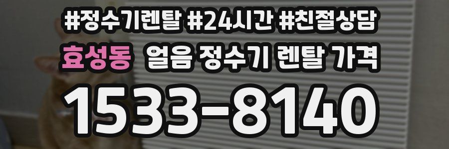 효성동 얼음 정수기 렌탈 가격