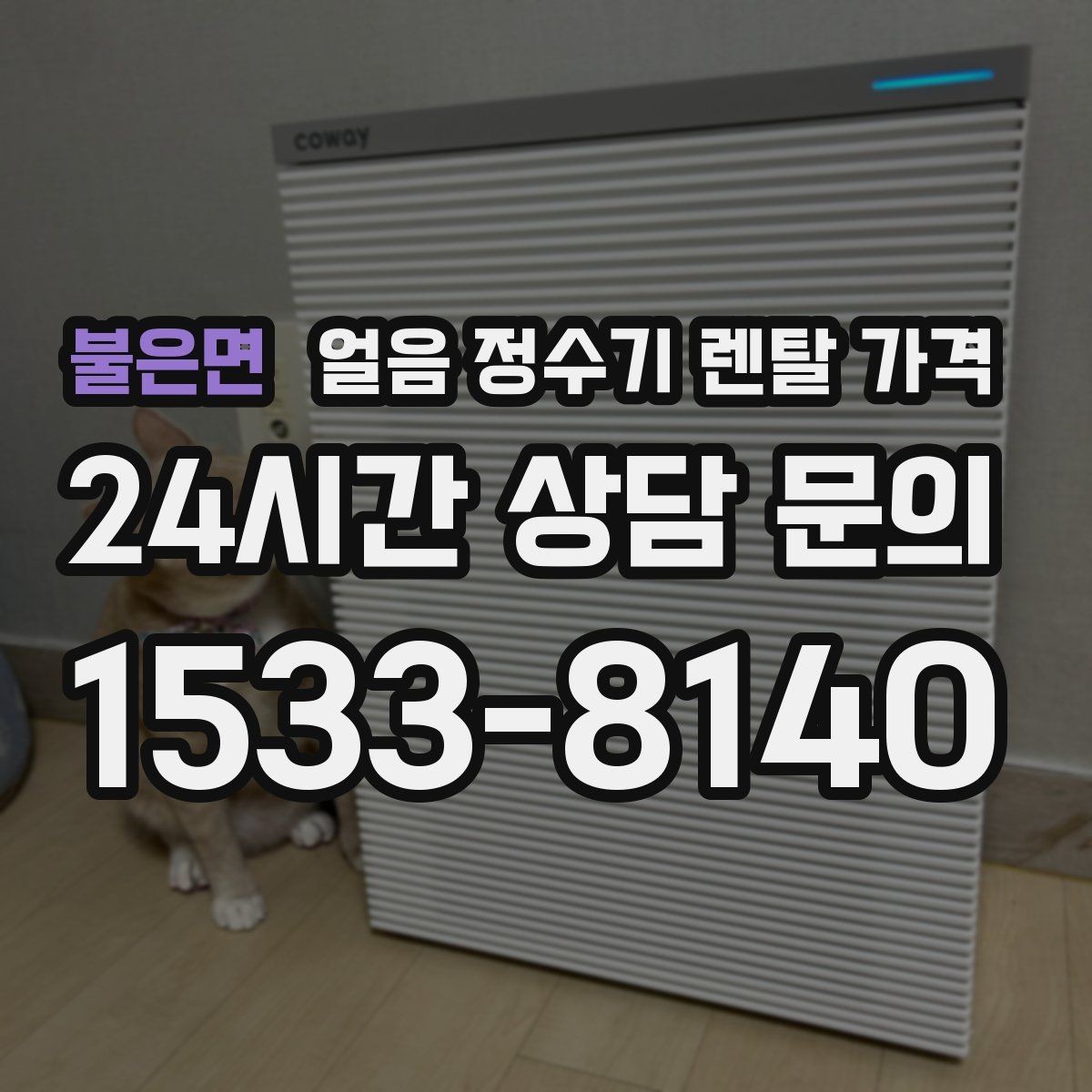 불은면 얼음 정수기 렌탈 가격 필수 기능만 선택하는 기준