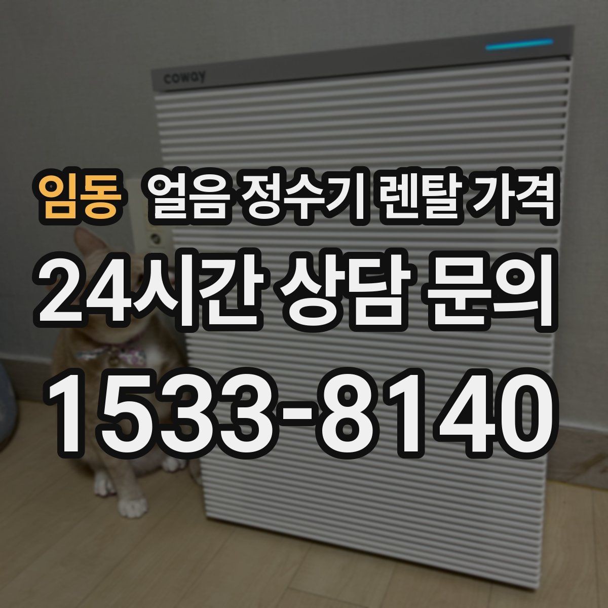 임동 얼음 정수기 렌탈 가격 브랜드보다 중요한 선택 기준