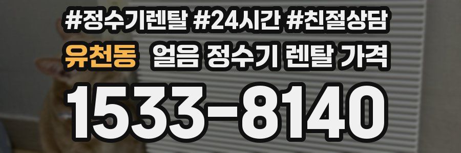 유천동 얼음 정수기 렌탈 가격