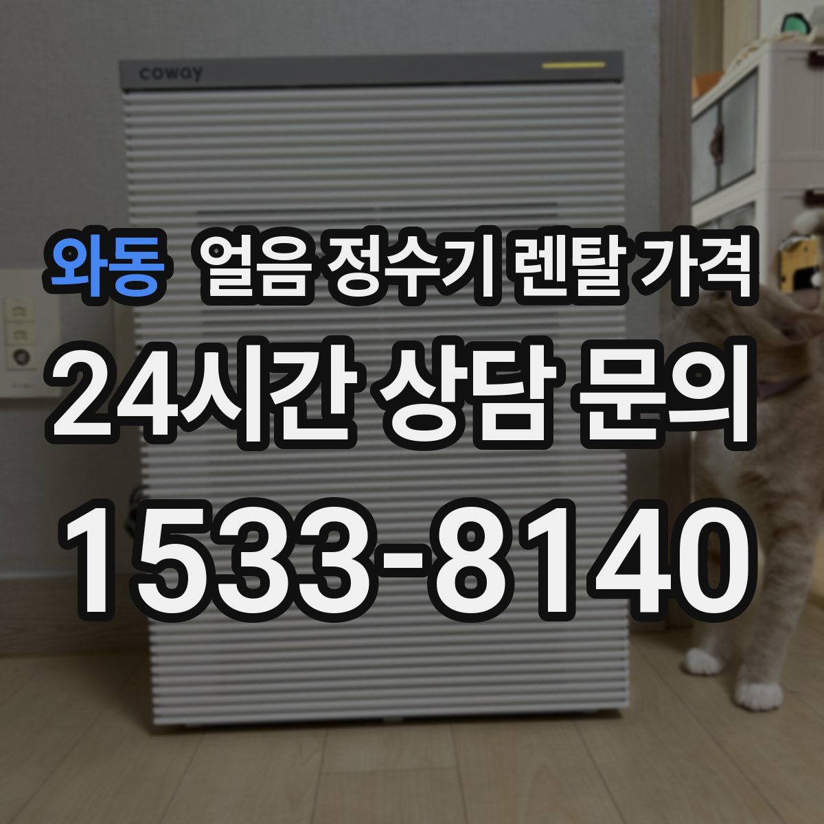 와동 얼음 정수기 렌탈 가격