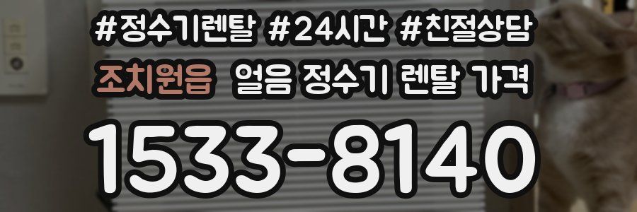 조치원읍 얼음 정수기 렌탈 가격