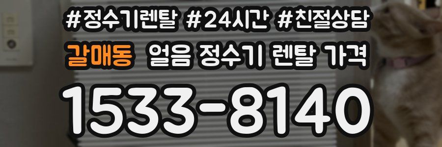 갈매동 얼음 정수기 렌탈 가격