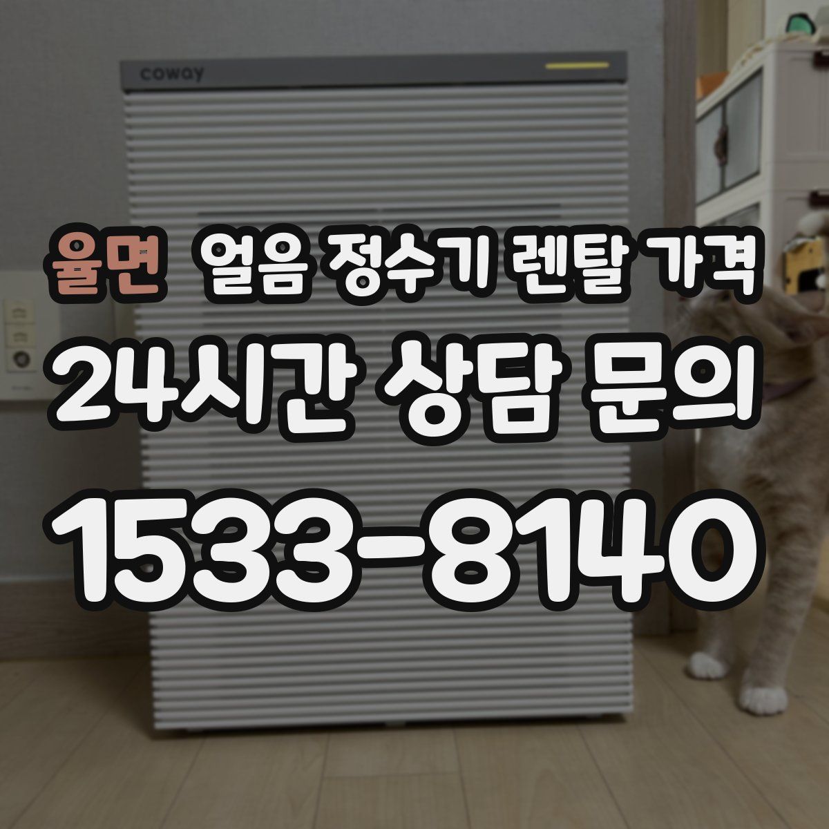 율면 얼음 정수기 렌탈 가격