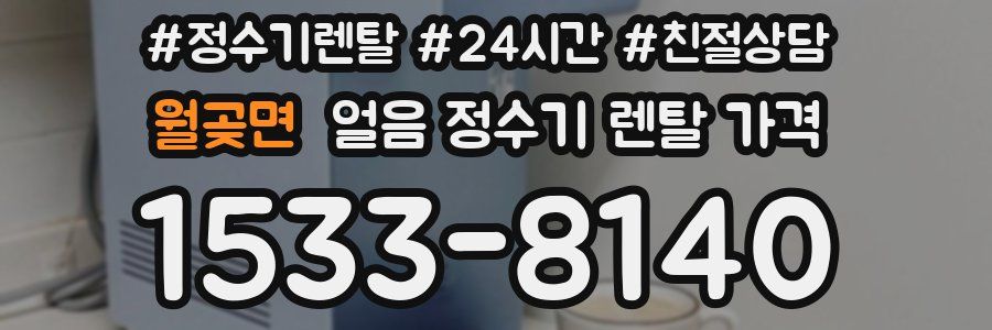 월곶면 얼음 정수기 렌탈 가격