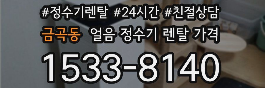 금곡동 얼음 정수기 렌탈 가격