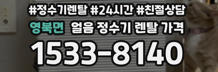 영북면 얼음 정수기 렌탈 가격