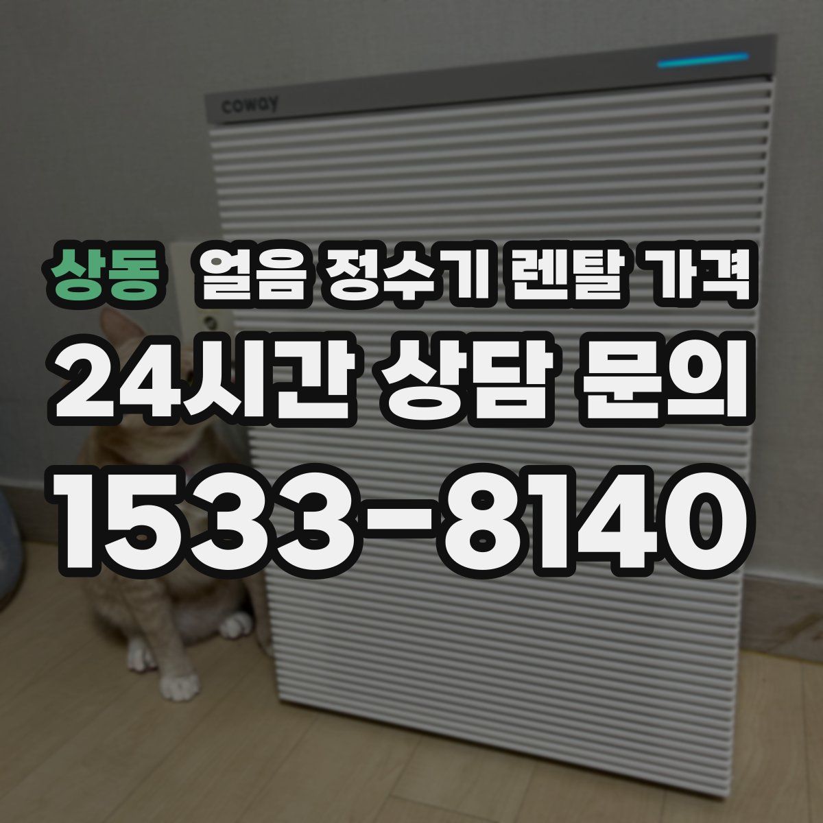 상동 얼음 정수기 렌탈 가격
