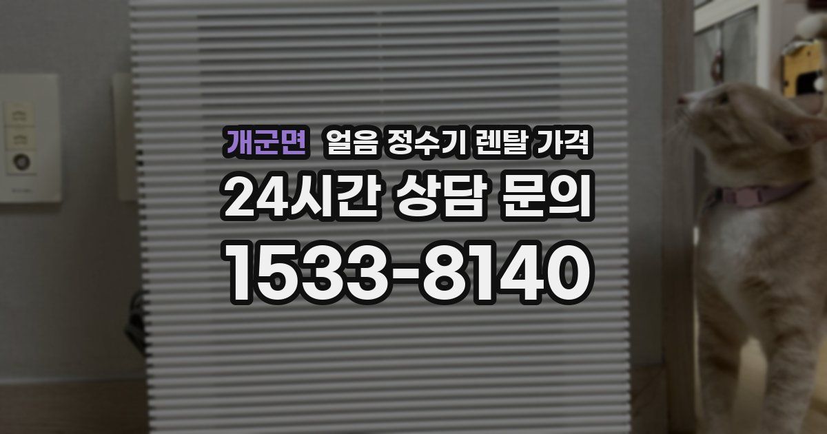 개군면 얼음 정수기 렌탈 가격