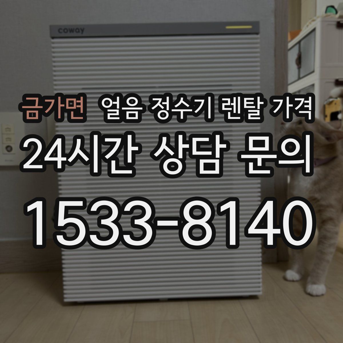 금가면 얼음 정수기 렌탈 가격