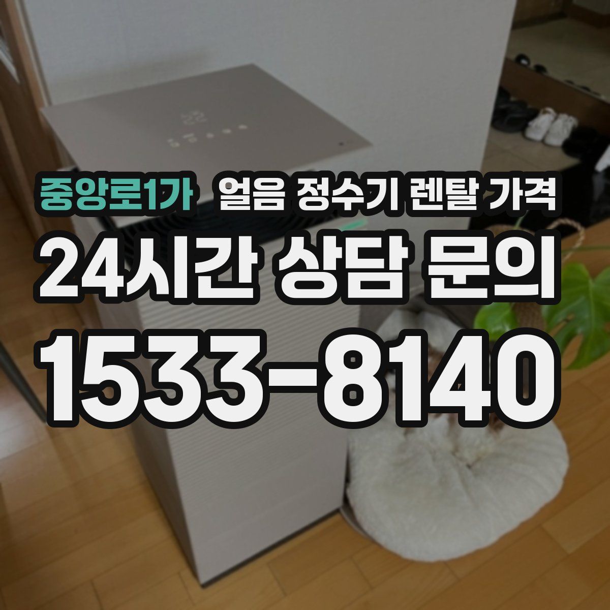 중앙로1가 얼음 정수기 렌탈 가격