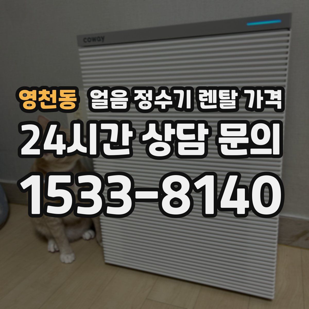 영천동 얼음 정수기 렌탈 가격