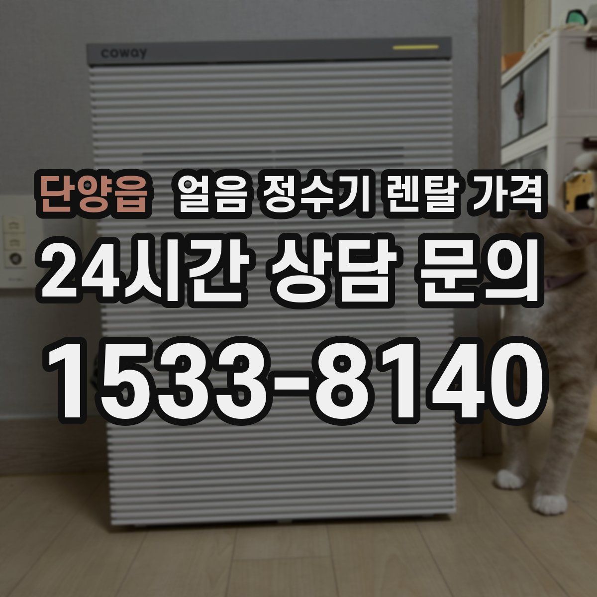 단양읍 얼음 정수기 렌탈 가격