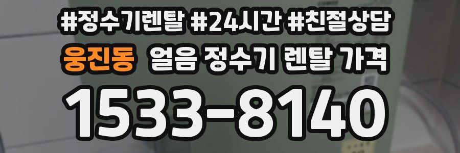 웅진동 얼음 정수기 렌탈 가격