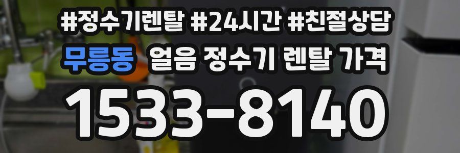 무릉동 얼음 정수기 렌탈 가격