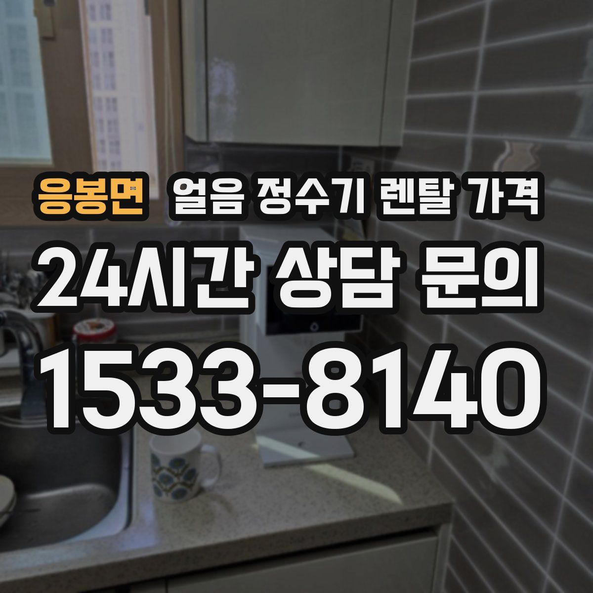 응봉면 얼음 정수기 렌탈 가격