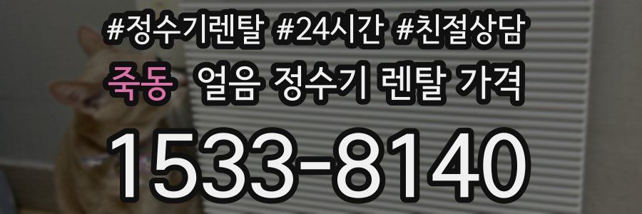 죽동 얼음 정수기 렌탈 가격