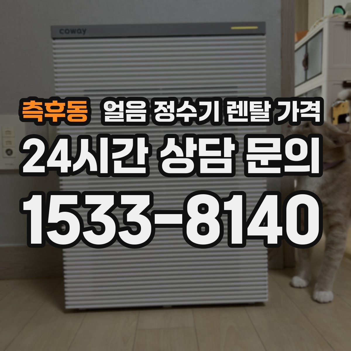 측후동 얼음 정수기 렌탈 가격