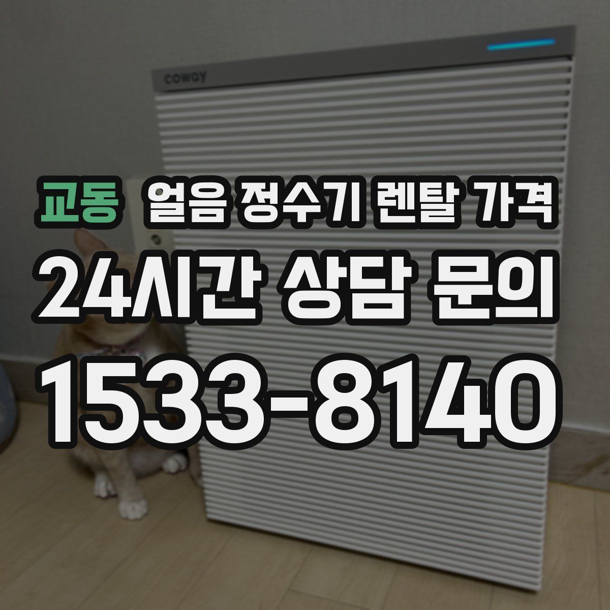 교동 얼음 정수기 렌탈 가격