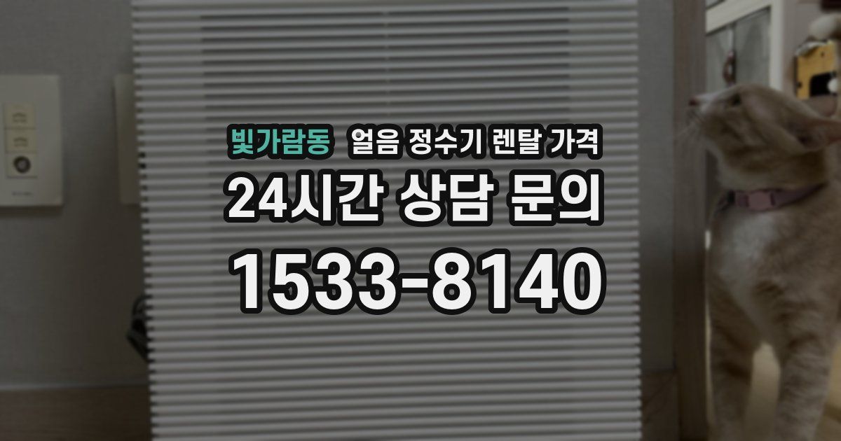 빛가람동 얼음 정수기 렌탈 가격