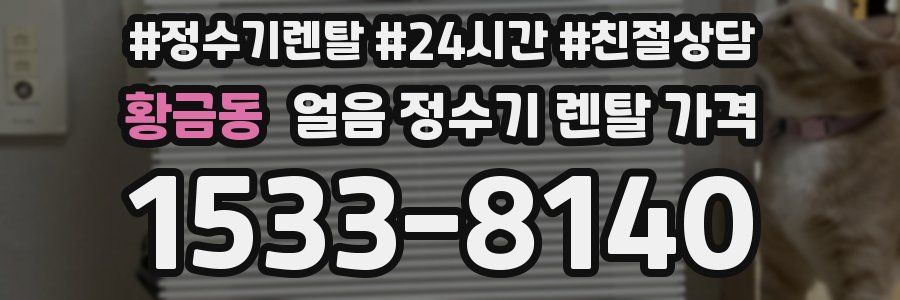 황금동 얼음 정수기 렌탈 가격