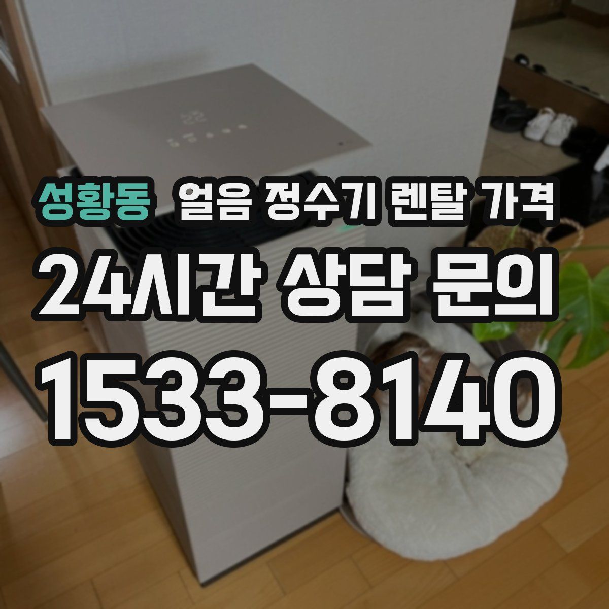 성황동 얼음 정수기 렌탈 가격