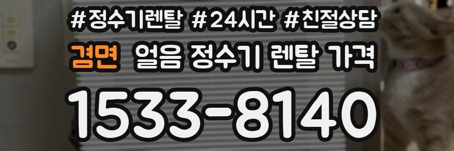 겸면 얼음 정수기 렌탈 가격