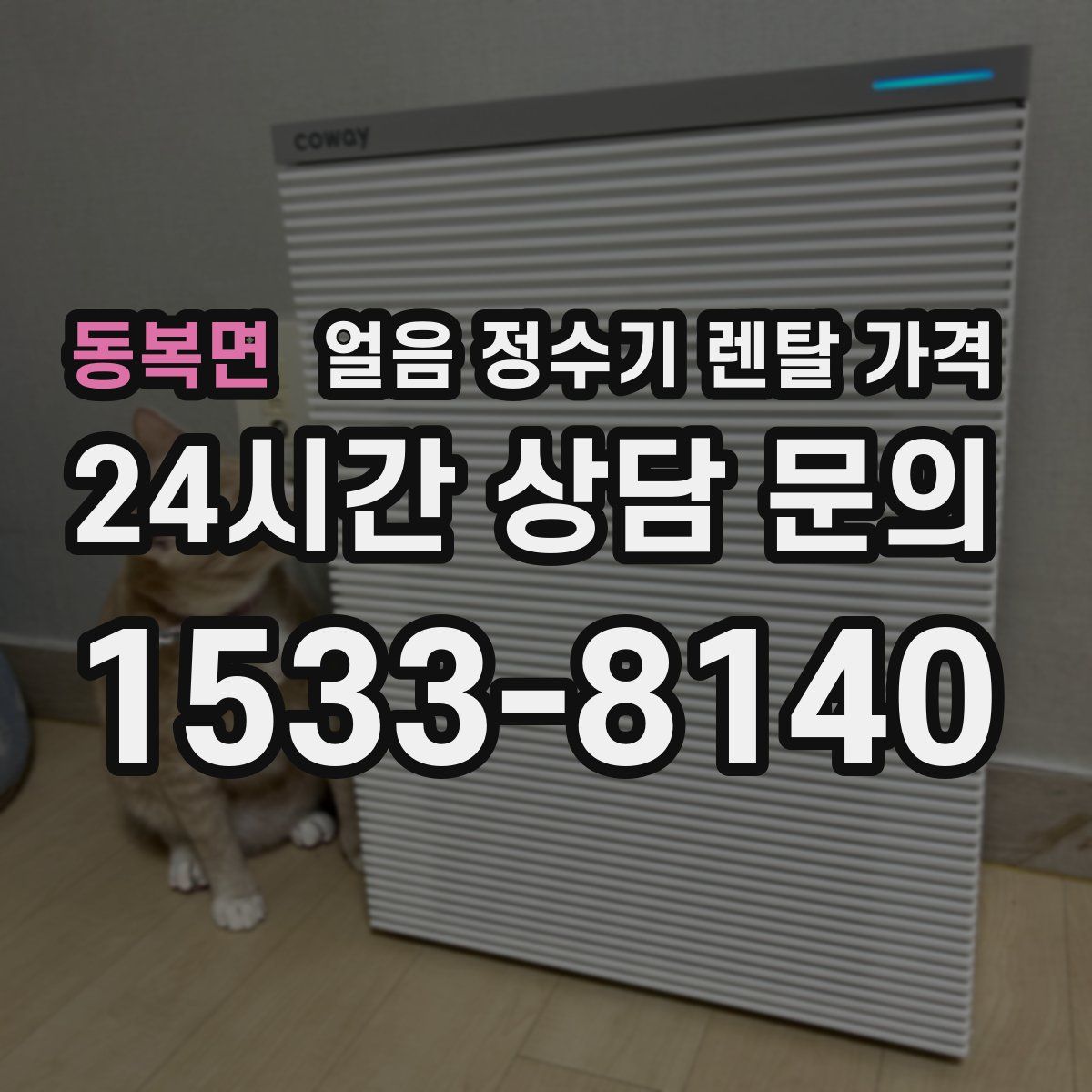 동복면 얼음 정수기 렌탈 가격