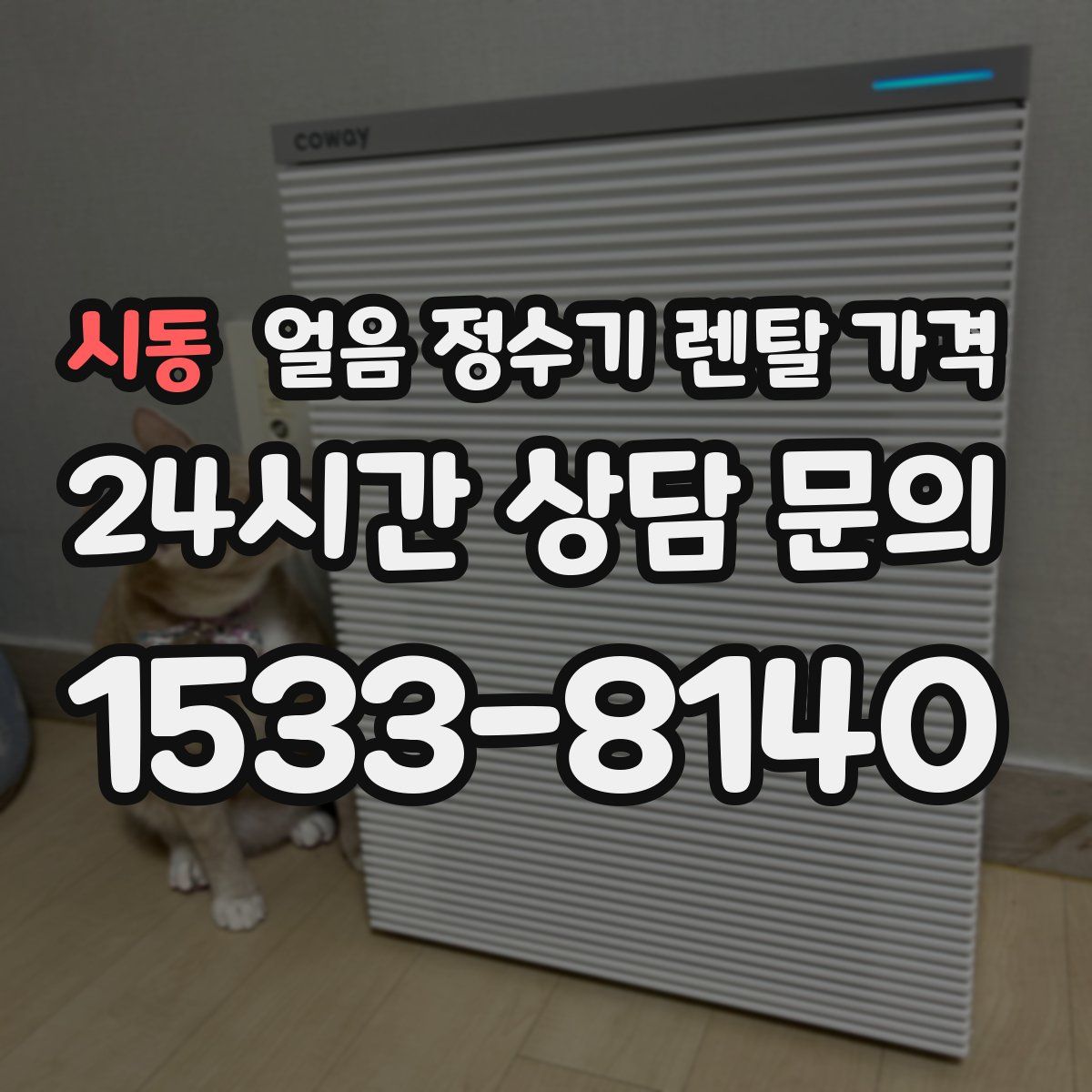 시동 얼음 정수기 렌탈 가격