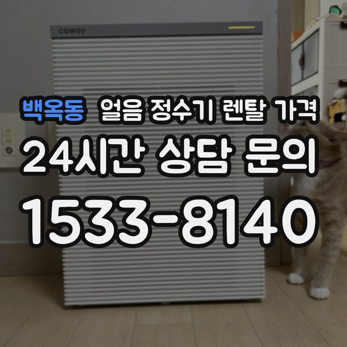 백옥동 얼음 정수기 렌탈 가격