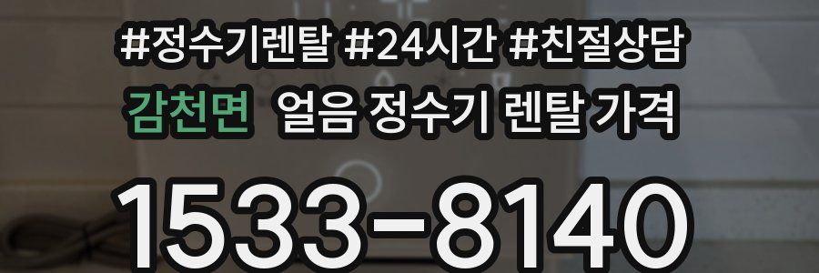 감천면 얼음 정수기 렌탈 가격