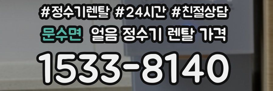 문수면 얼음 정수기 렌탈 가격