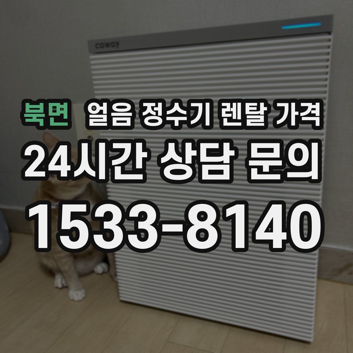 북면 얼음 정수기 렌탈 가격