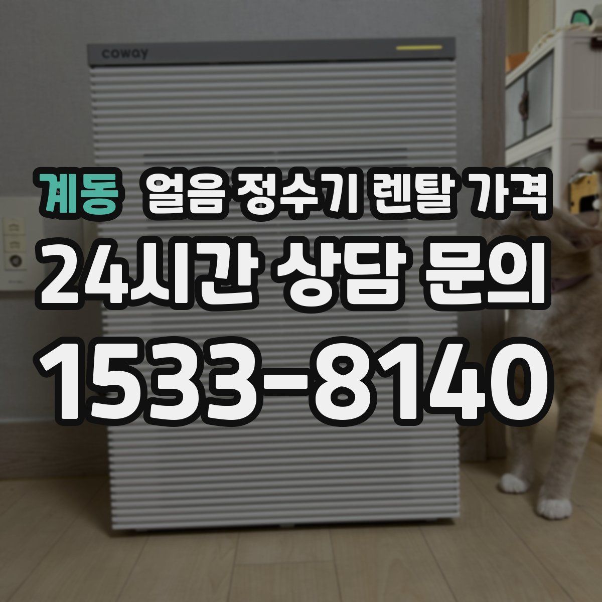 계동 얼음 정수기 렌탈 가격