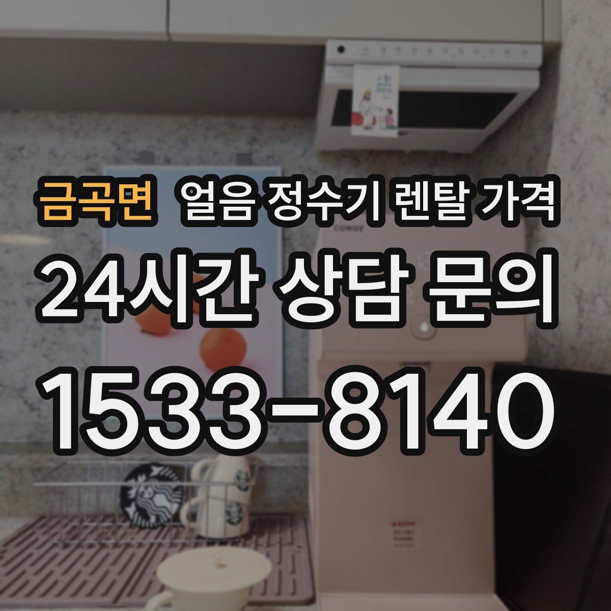 금곡면 얼음 정수기 렌탈 가격