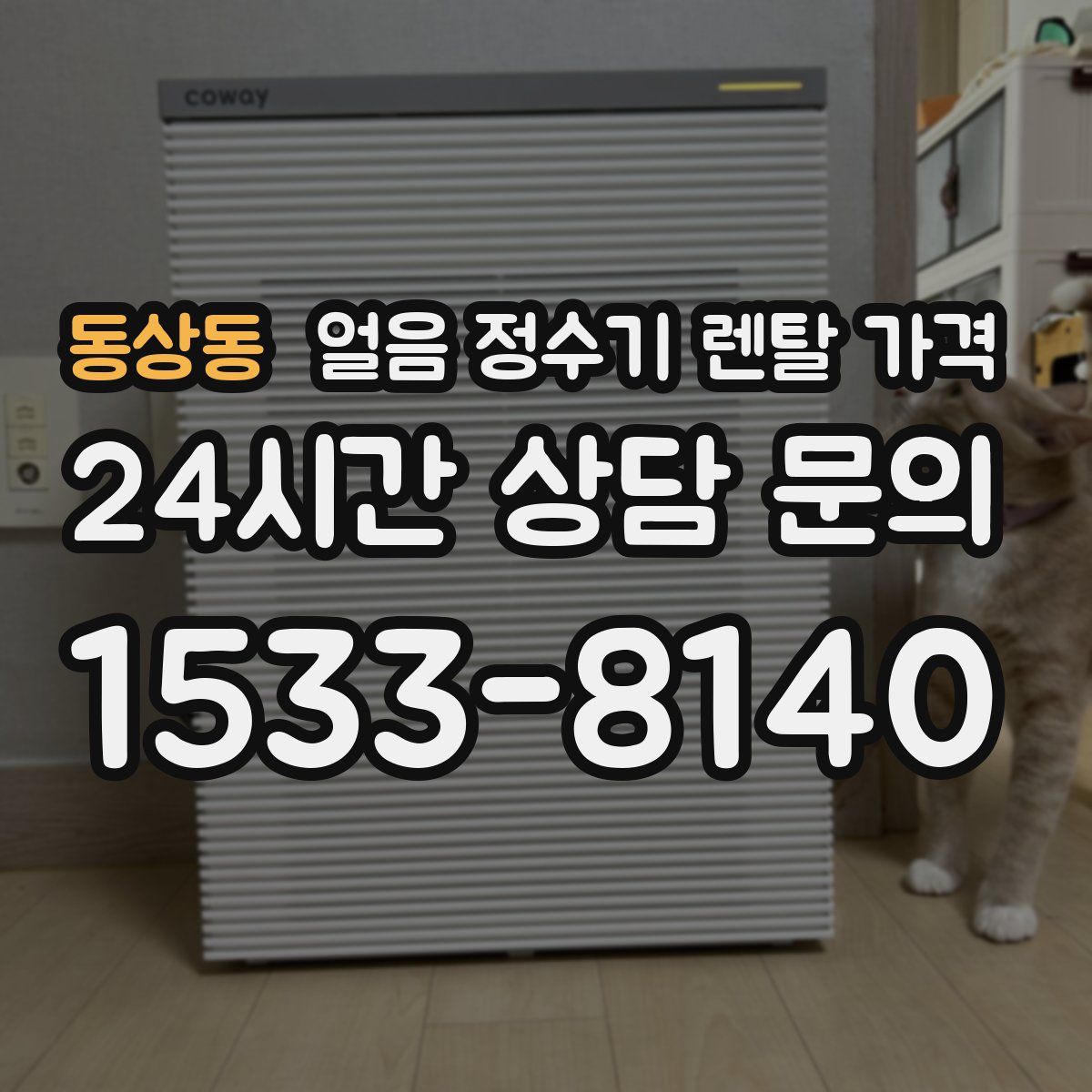 동상동 얼음 정수기 렌탈 가격