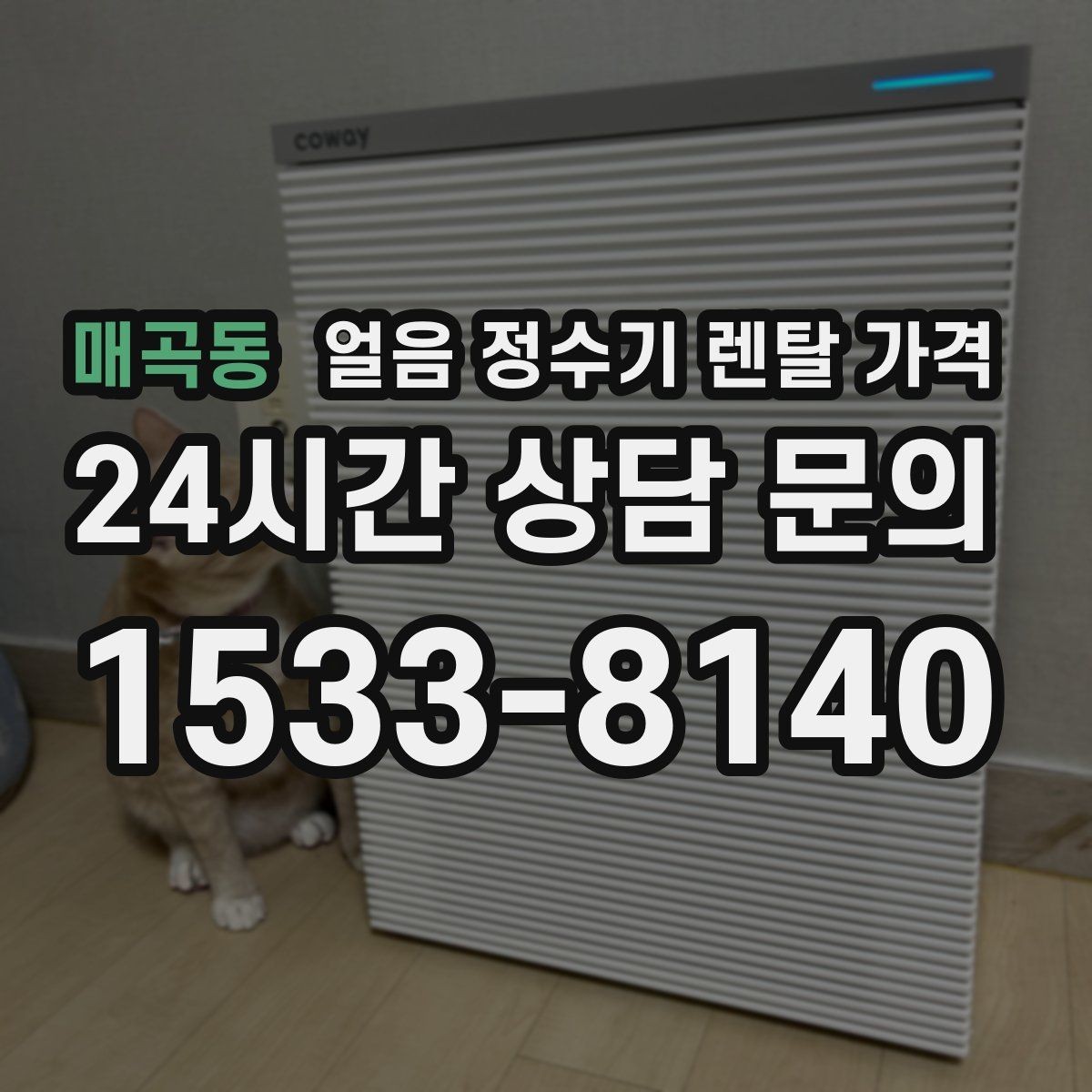 매곡동 얼음 정수기 렌탈 가격 재계약 시 유리한 조건 찾기