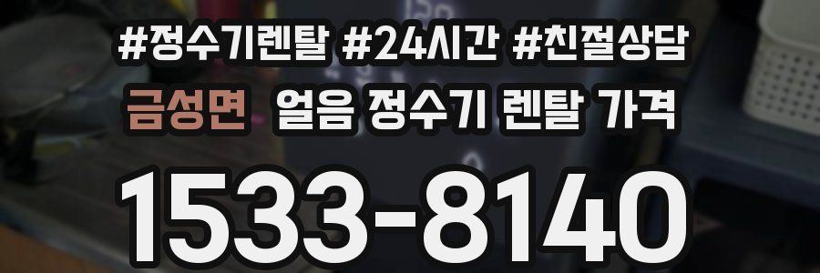 금성면 얼음 정수기 렌탈 가격