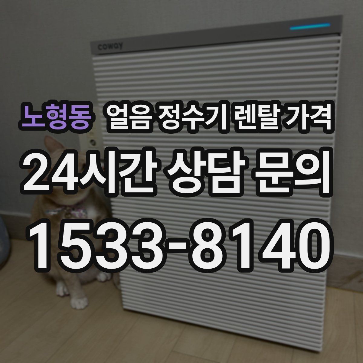 노형동 얼음 정수기 렌탈 가격 단순 비교로 끝내면 안 되는 이유