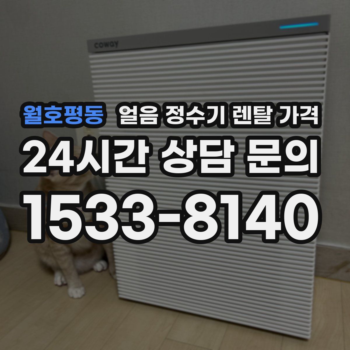 월호평동 얼음 정수기 렌탈 가격