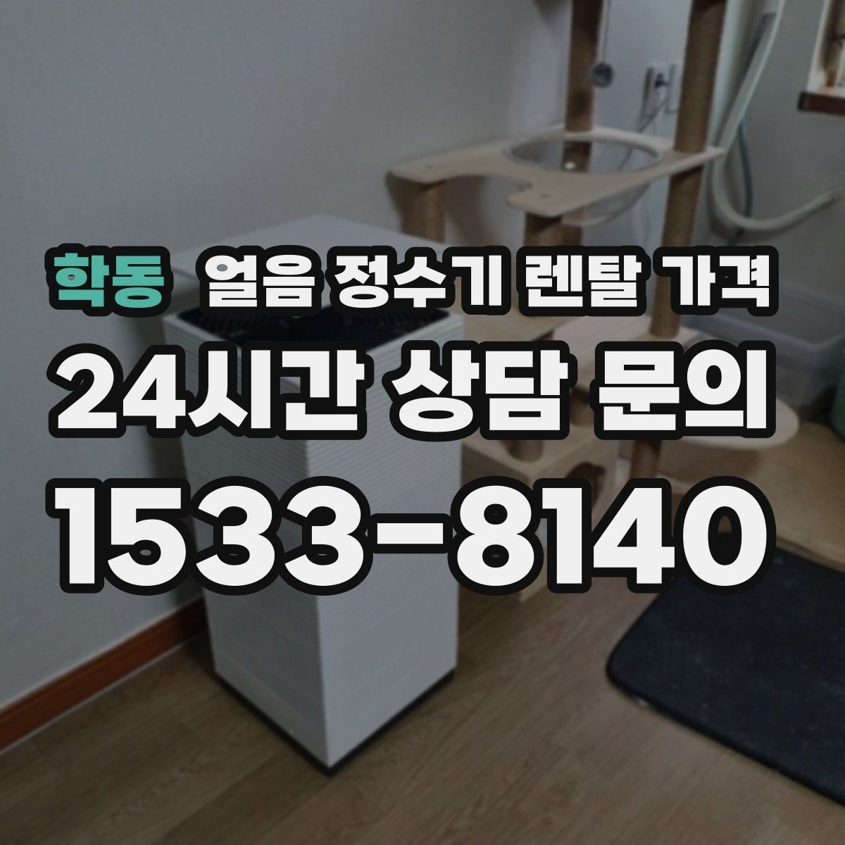 학동 얼음 정수기 렌탈 가격 장기 사용 기준으로 고르는 방법