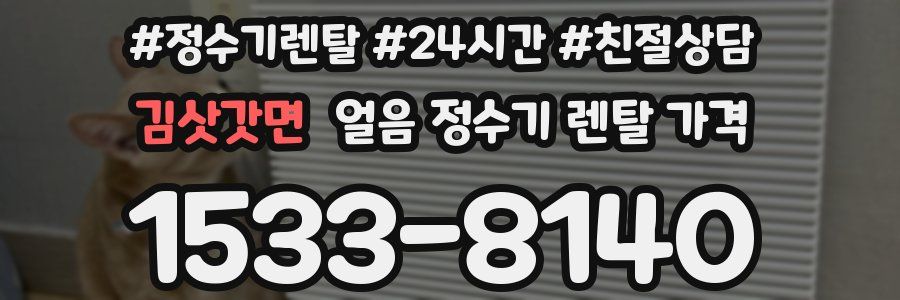 김삿갓면 얼음 정수기 렌탈 가격