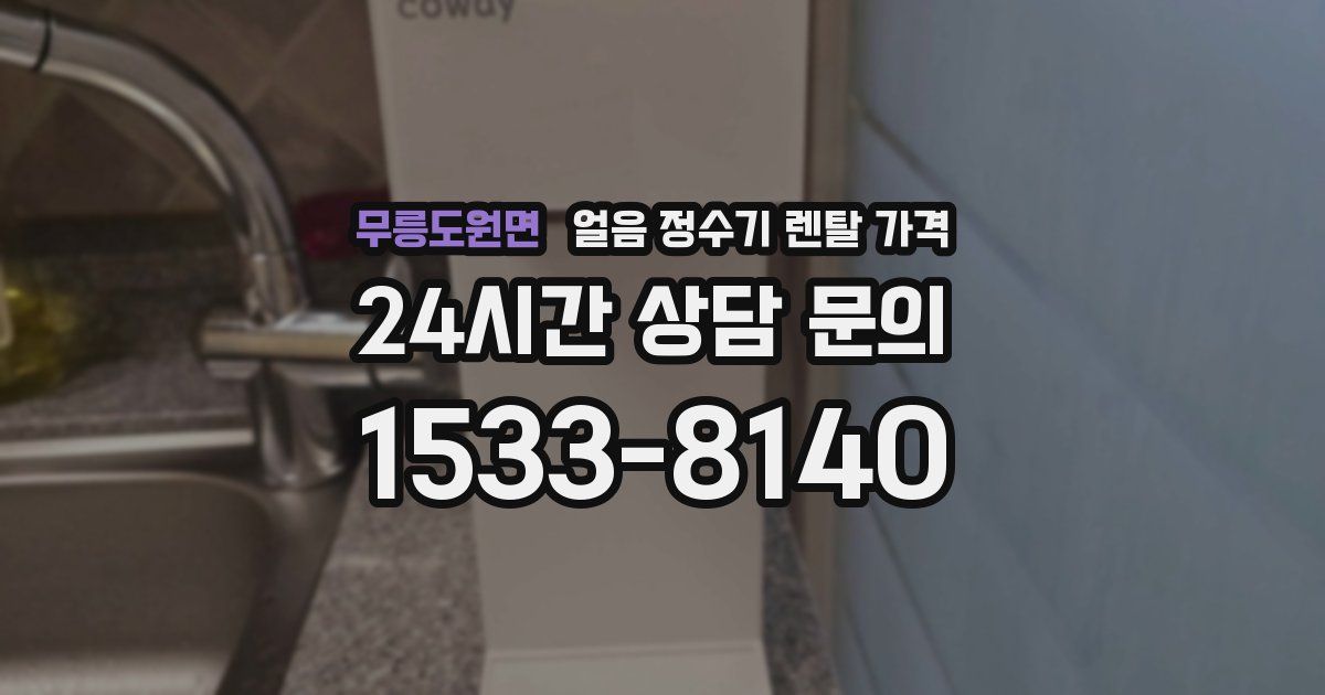 무릉도원면 얼음 정수기 렌탈 가격