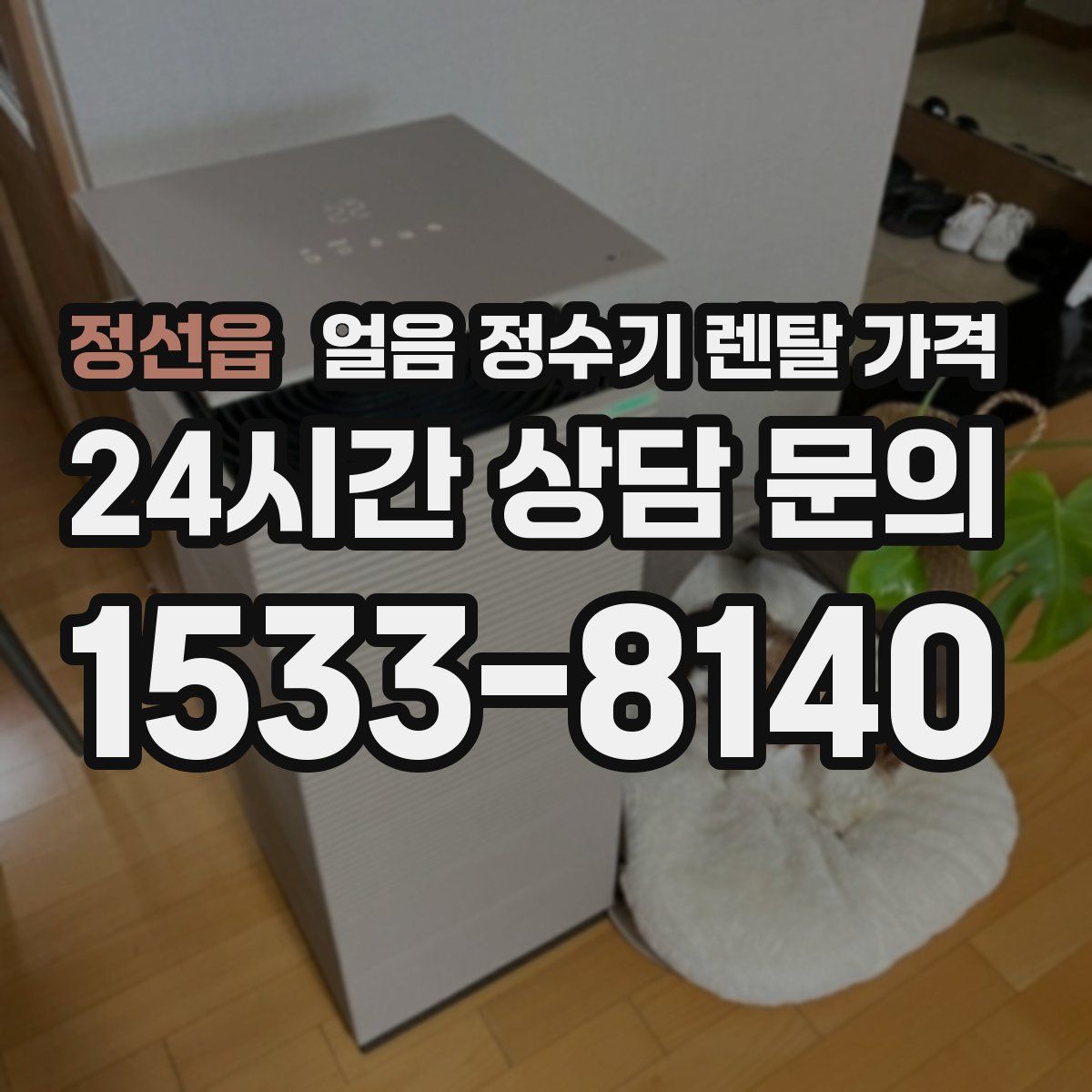 정선읍 얼음 정수기 렌탈 가격