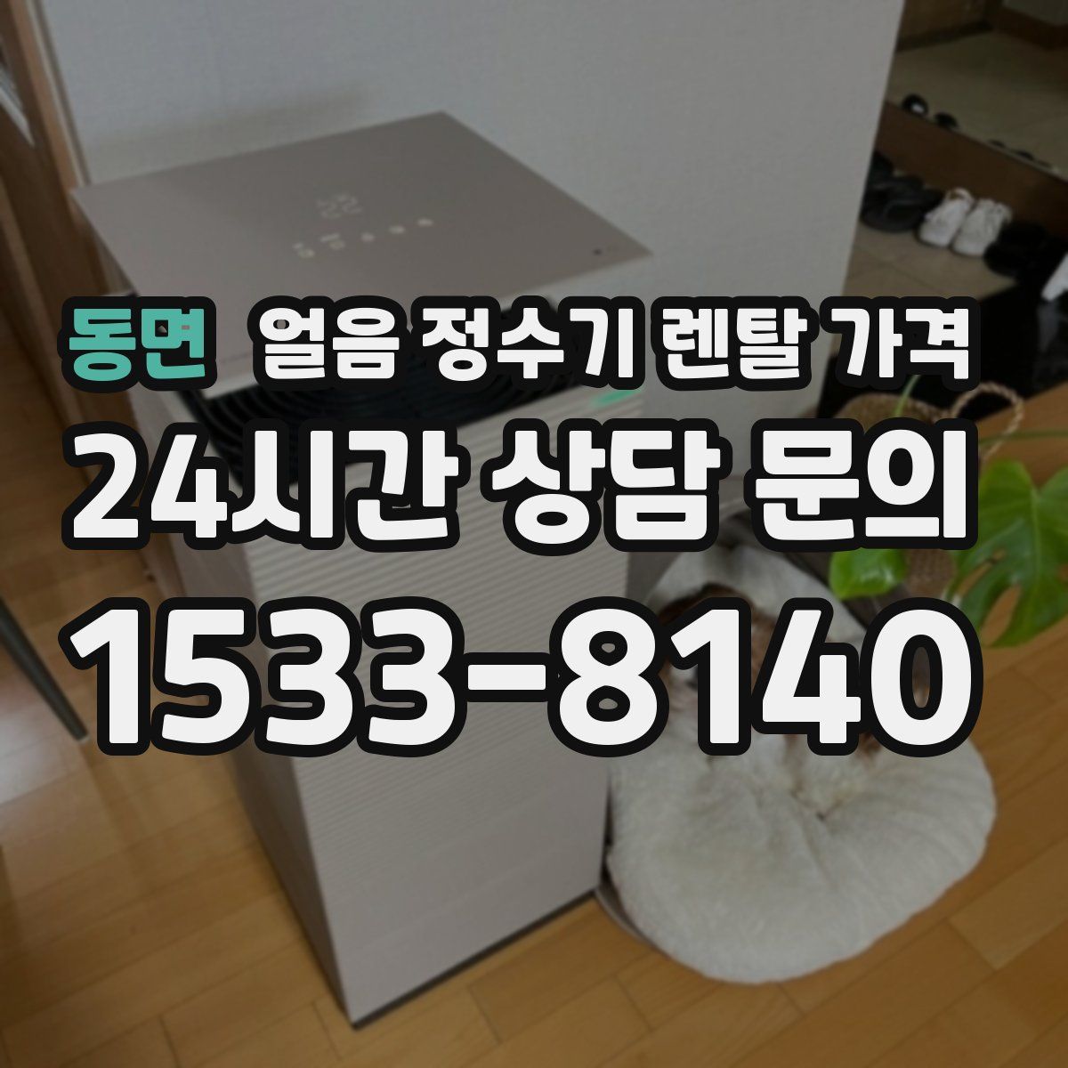 동면 얼음 정수기 렌탈 가격