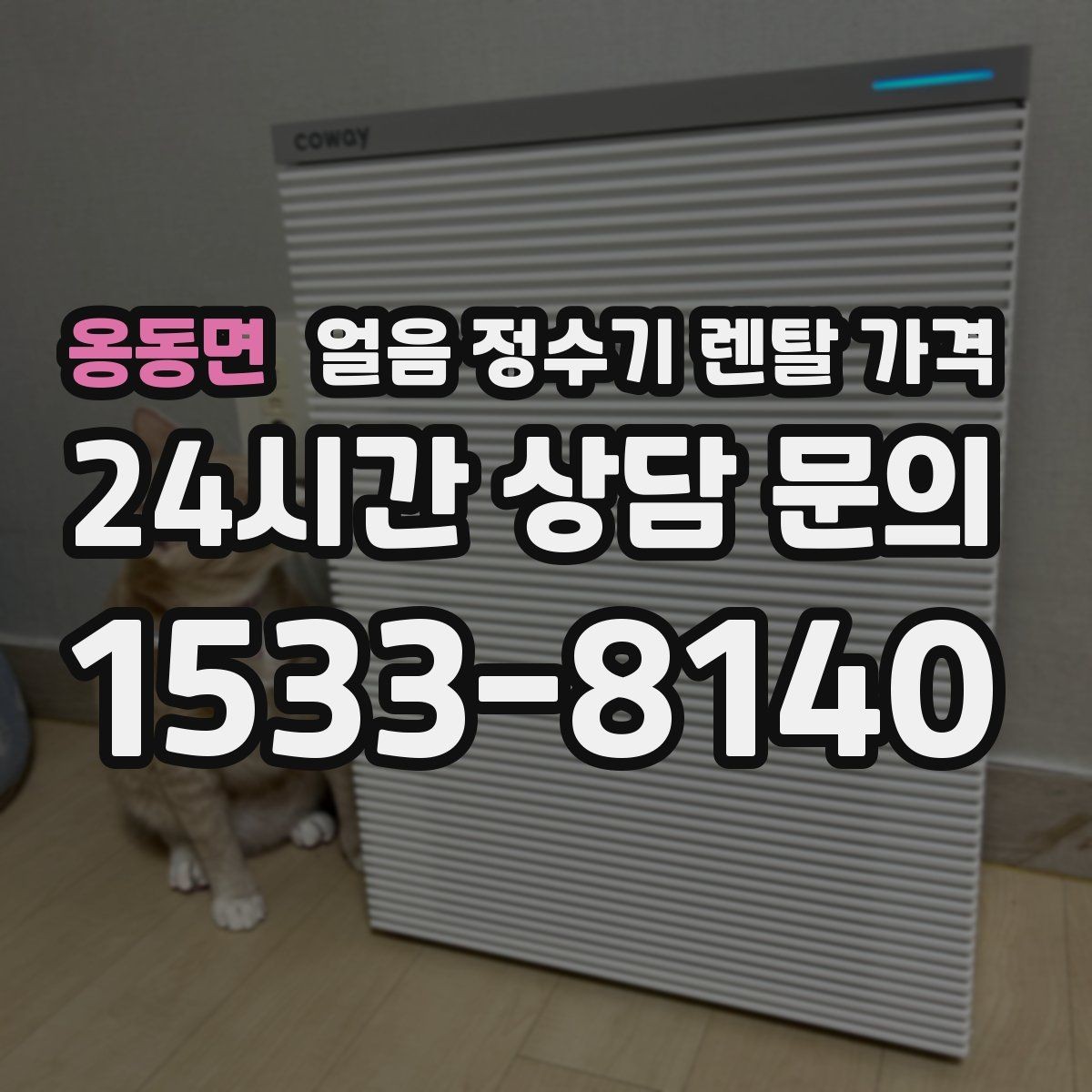 옹동면 얼음 정수기 렌탈 가격 계절별 사용 패턴이 중요한 이유