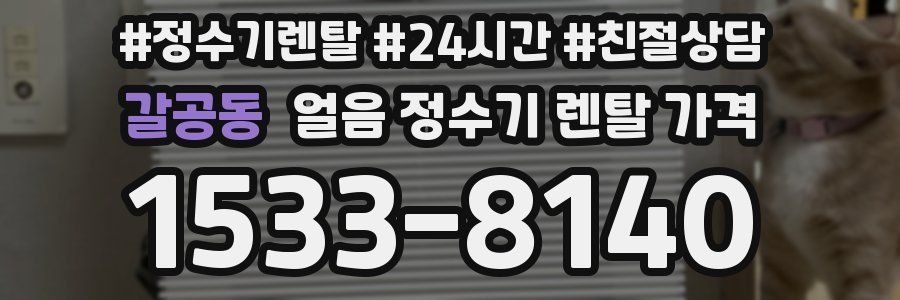 갈공동 얼음 정수기 렌탈 가격