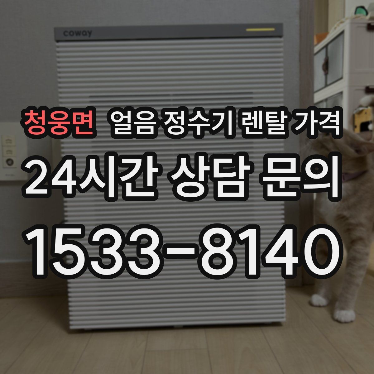 청웅면 얼음 정수기 렌탈 가격